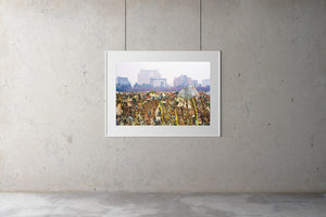 A photograph of a field of Kanjuji plants in Tokyo in winter. There are tall buildings in the background.  Tokyo Japan. Artwork Prints, wall art, Japan, Osaka, Photographic prints,, Framed artwork,  Posters  Photography Photography for sale, Film photography, Vintage photo style,  Interior design, Film photography, Pictures framed, artwork, travel photography, 35mm film, urban photography, street photography for sale,
