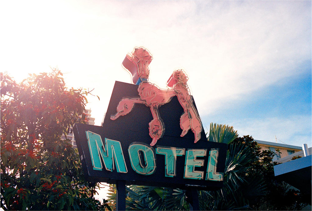 A photograph of a 1960’s motel  sign with a pink poodle neon light with green motel sign. Goldcoast Queensland