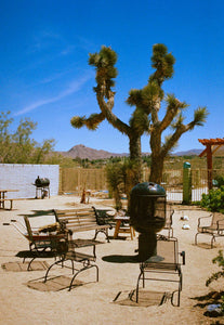  A photographic print of the joshua treem motel california, swimimg pool at joshua tree's Artwork, Prints wall art California Photographic prints Ocean Palm Springs Framed artwork, Photography,  Film photography, Vintage photo style,  Interior design, beach, Buy Art, photography art, Joshua tree print, Joshua tree, buy art, Prints for sale, art prints, color photography