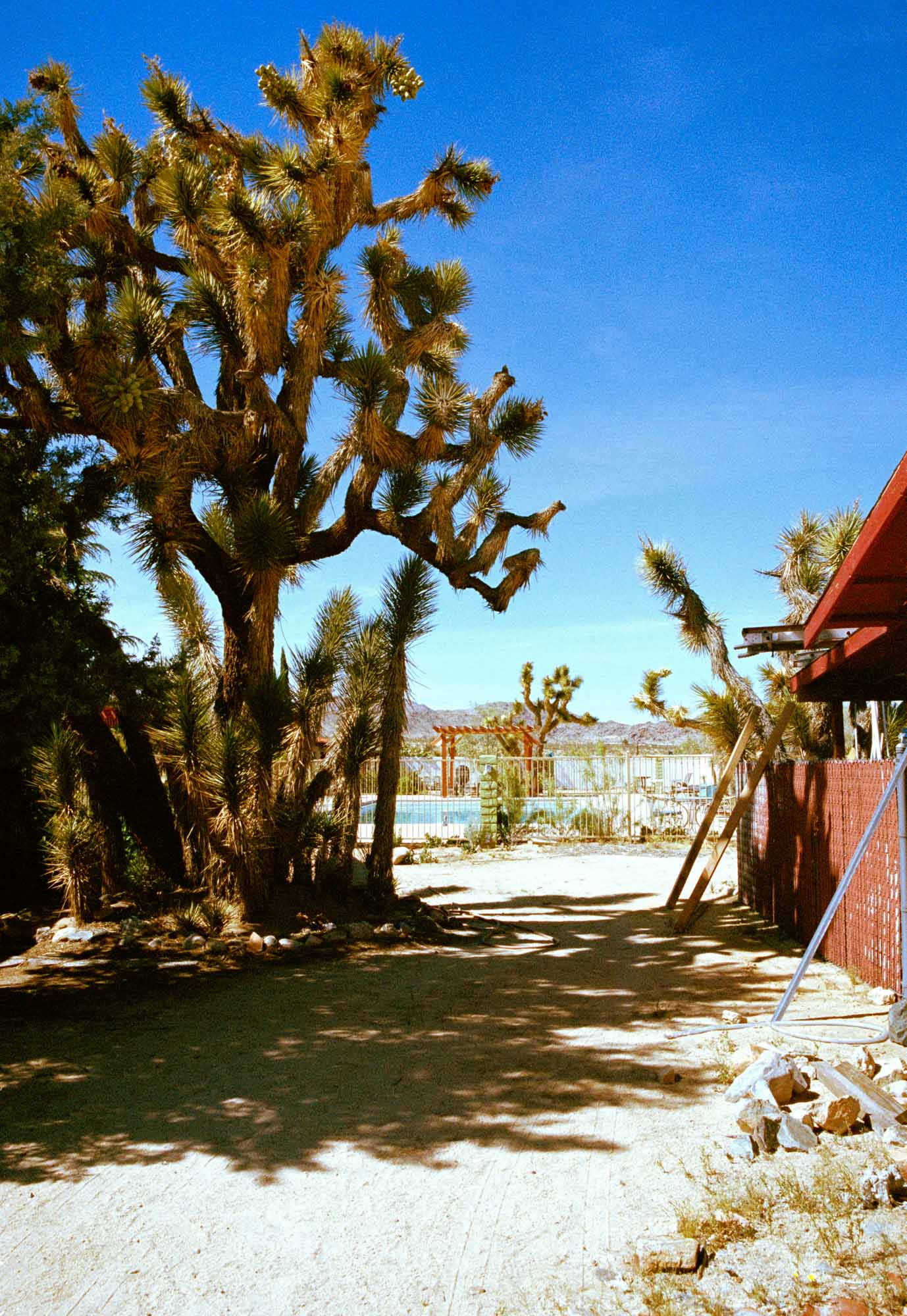 A photographic print of the joshua treem motel california, swimimg pool at joshua tree's Artwork, Prints wall art California Photographic prints Ocean Palm Springs Framed artwork, Photography,  Film photography, Vintage photo style,  Interior design, beach, Buy Art, photography art, Joshua tree print, Joshua tree, buy art, Prints for sale, art prints, color photography